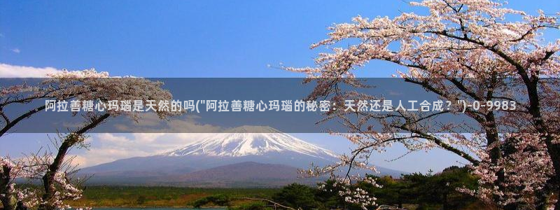 糖心vlog在线观看_糖心vlog小桃