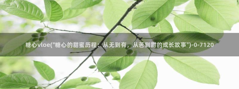 糖心vlog全部作品