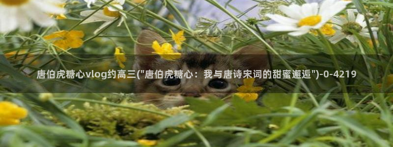 糖心vlog在线观看播放