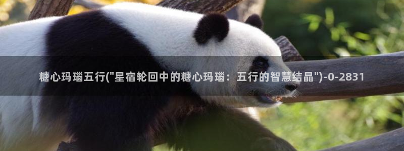 糖心vlog网页版