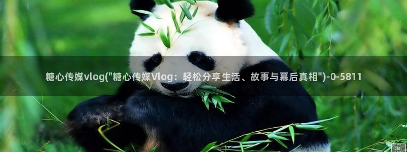 糖心vlog柚子猫内射频