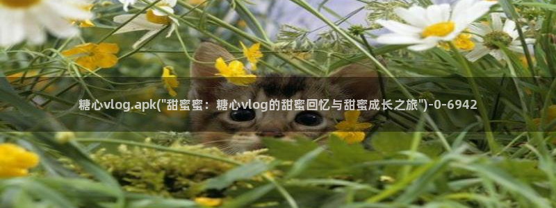 txvlog.com糖心