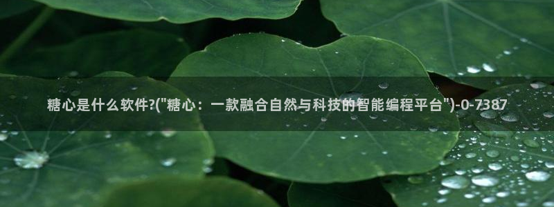 糖心vlog可爱兔