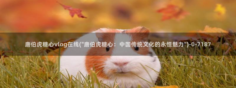 糖vlog日常