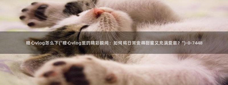 糖心vlog精品一区二区三区