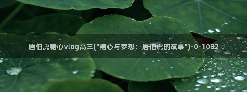 糖心vlog完整版在线观看