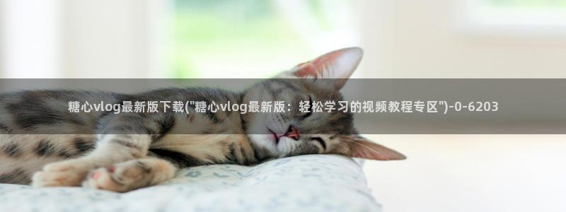 糖心vlog最新破解版