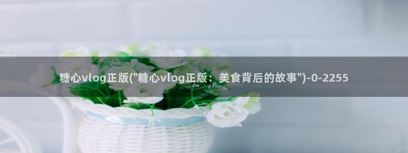 糖心vlog视频破解版
