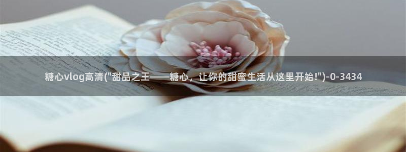 糖心vlog在线观