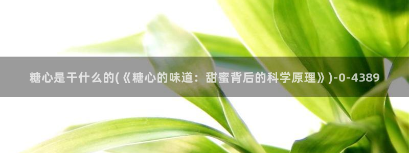 糖心少女vlog免费桐桐的生日