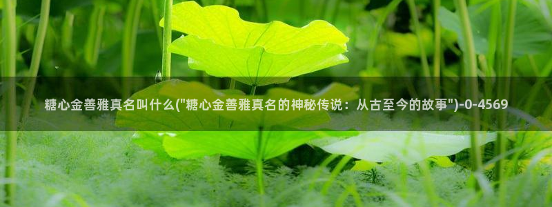 心糖vlog在线免费观看