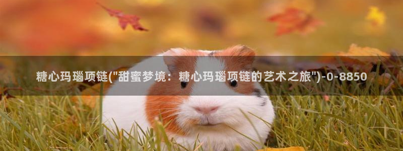 糖心小恩vlog